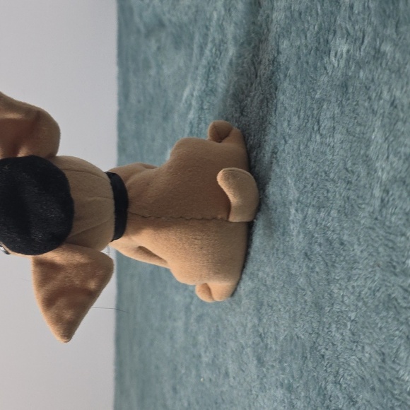 Tacobell Dog - Picture 5 of 5